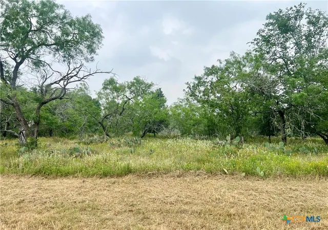 Homes for sale in Smiley, TX | Lot 11 Wisteria Ln, Smiley, TX 78159 | MLS# 522072