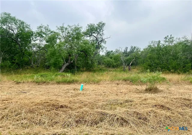 Homes for sale in Smiley, TX | Lot 6 Wisteria Ln, Smiley, TX 78159 | MLS# 522068