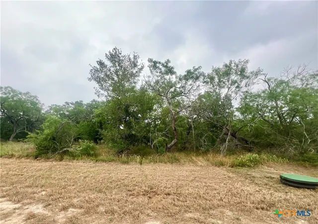 Homes for sale in Smiley, TX | Lot 9 Wisteria Ln, Smiley, TX 78159 | MLS# 522070