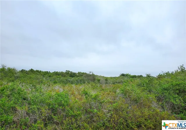 3rd image of "B" Carabajal Rd, Seadrift, TX 77983 | MLS# 523098