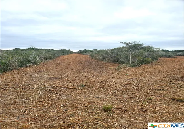 4th image of "B" Carabajal Rd, Seadrift, TX 77983 | MLS# 523098