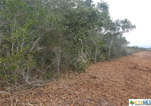 5th image of "B" Carabajal Rd, Seadrift, TX 77983 | MLS# 523098