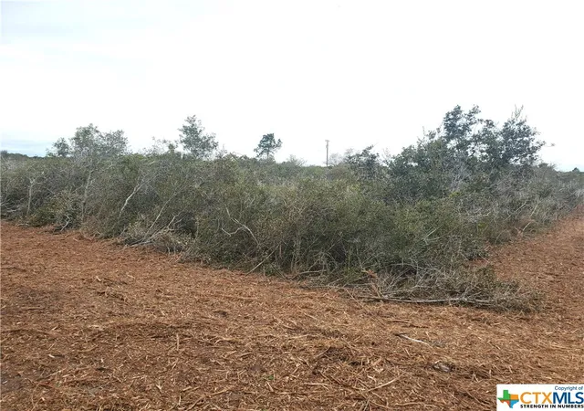 9th image of "b" Carabajal Rd, Seadrift, TX 77983 | MLS# 523098