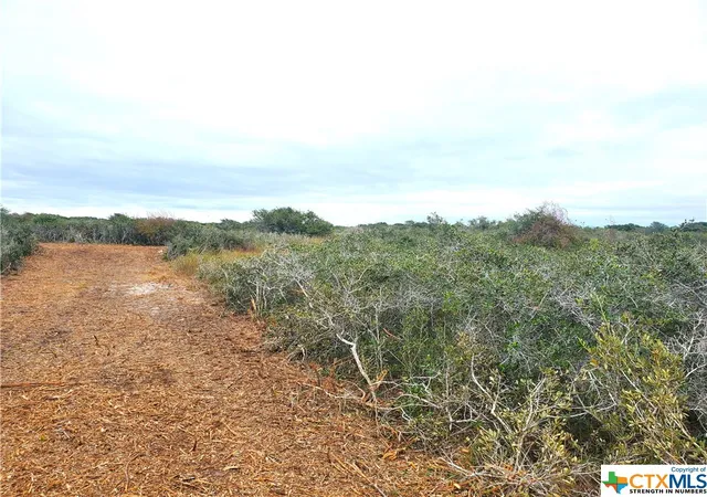 2nd image of "c" Carabajal Rd, Seadrift, TX 77983 | MLS# 523107
