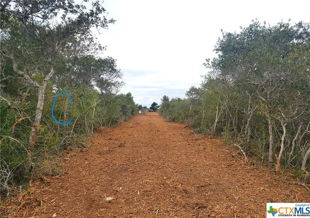3rd image of "C" Carabajal Rd, Seadrift, TX 77983 | MLS# 523107
