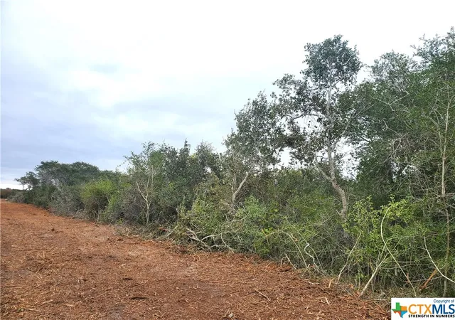 4th image of "C" Carabajal Rd, Seadrift, TX 77983 | MLS# 523107