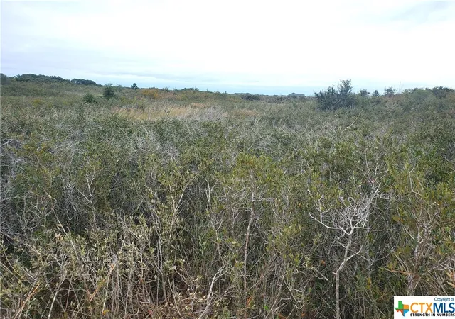 5th image of "C" Carabajal Rd, Seadrift, TX 77983 | MLS# 523107