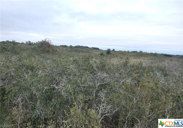 7th image of "c" Carabajal Rd, Seadrift, TX 77983 | MLS# 523107