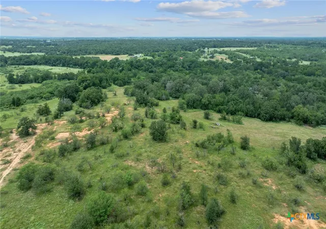 45th image of 3597 Baker Rd, Kingsbury, TX 78638 | MLS# 526962
