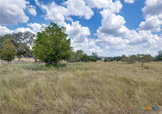 21st image of 109 Rio Grande Dr, Blanco, TX 78606 | MLS# 532839