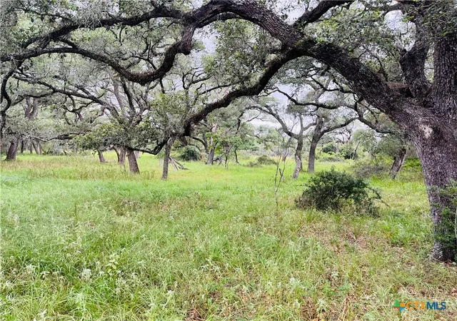 Photo 3 of Land for sale at 00 Rocky Rd, Cuero, TX 77954 | MLS# 533892 | Listing updated on 2026-02-10