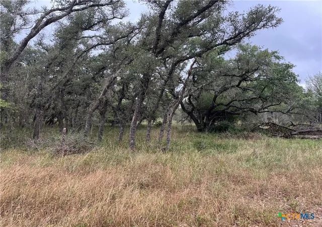 Photo 3 of Land for sale at 00 Rocky Rd, Cuero, TX 77954 | MLS# 533892 | Listing updated on 2026-02-10