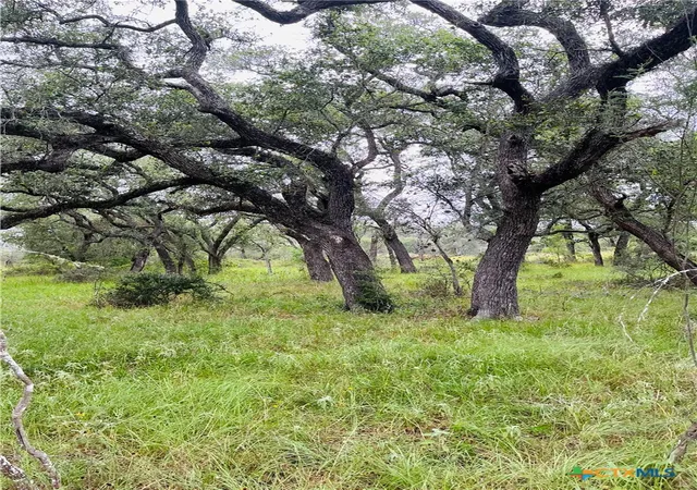 5th image of 00 Rocky Rd, Cuero, TX 77954 | MLS# 533892