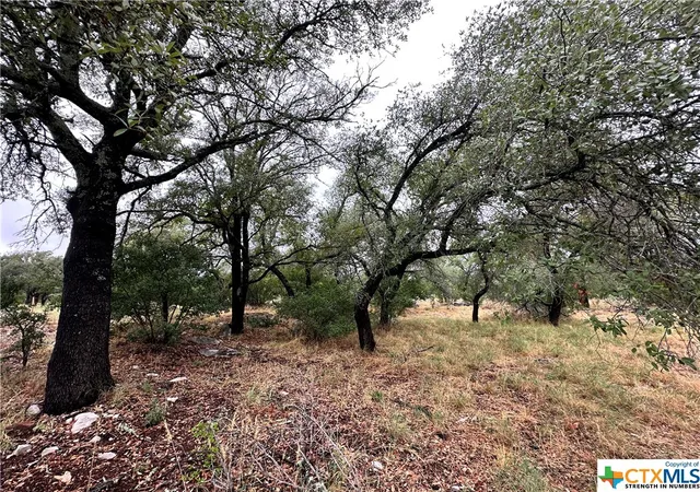 2nd image of 820 Mountain Dew, Horseshoe Bay, TX 78657 | MLS# 533839