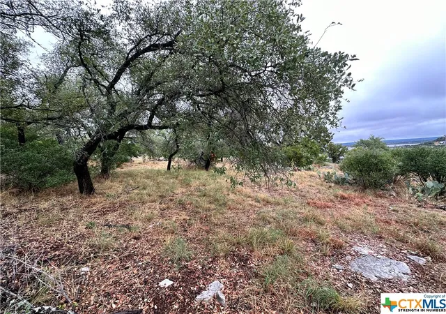 3rd image of 820 Mountain Dew, Horseshoe Bay, TX 78657 | MLS# 533839