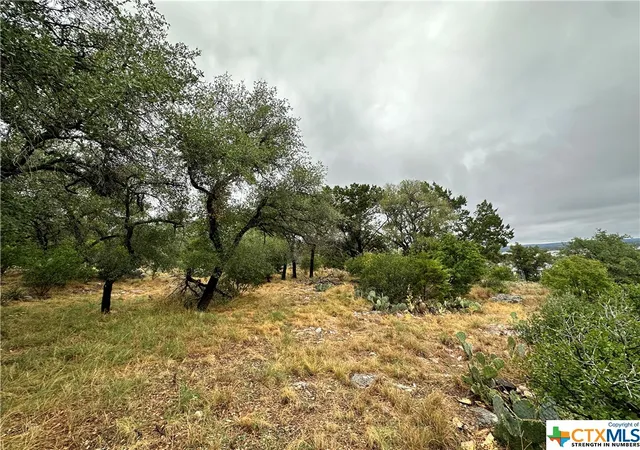 5th image of 820 Mountain Dew, Horseshoe Bay, TX 78657 | MLS# 533839