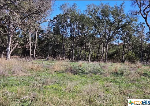 3rd image of Tbd County Rd 230, Lampasas, TX 76550 | MLS# 535279