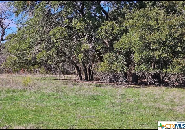 4th image of Tbd County Rd 230, Lampasas, TX 76550 | MLS# 535279