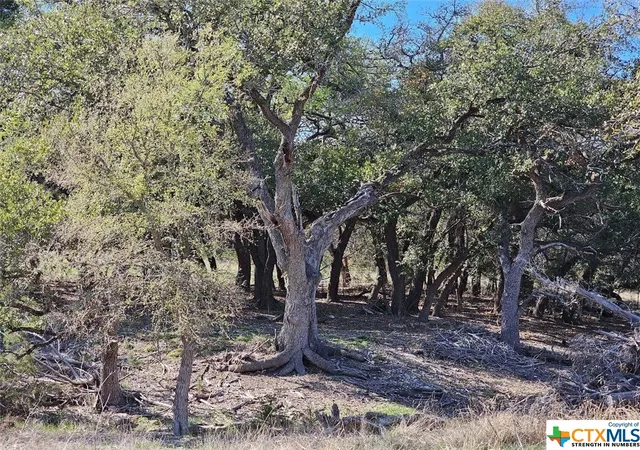 5th image of Tbd County Rd 230, Lampasas, TX 76550 | MLS# 535279