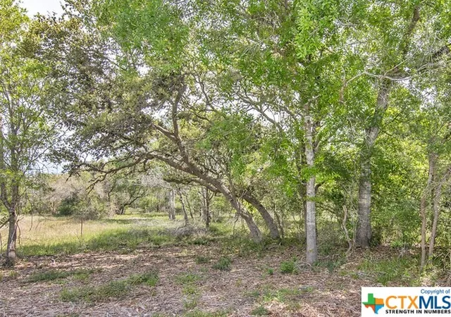 2nd image of Tract 2 Fm 530, Edna, TX 77957 | MLS# 534405