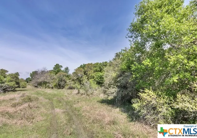4th image of Tract 2 Fm 530, Edna, TX 77957 | MLS# 534405