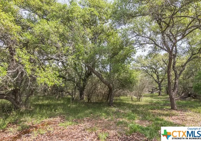 5th image of Tract 2 Fm 530, Edna, TX 77957 | MLS# 534405