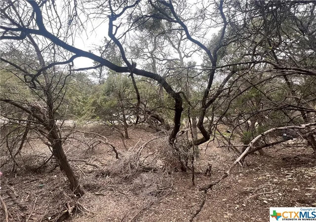 Photo 2 of Land for sale at 809 Scenic Run, Canyon Lake, TX 78133 | MLS# 541826 | Listing updated on 2026-05-13