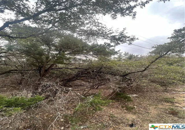 Photo 3 of Land for sale at 809 Scenic Run, Canyon Lake, TX 78133 | MLS# 541826 | Listing updated on 2026-05-13
