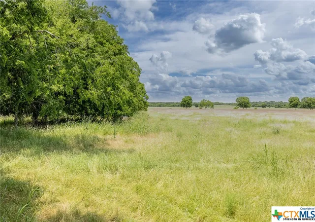 1st image of Tbd Goodwin Rd, Gonzales, TX 78629 | MLS# 542647