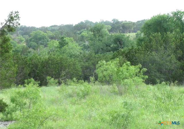 Homes for sale in Evant, TX | Lot 44 Phase 6 Pr 42107, Evant, TX 76525 | MLS# 544077