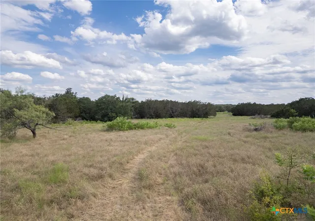 13th image of Tbd Fm 1241, Purmela, TX 76566 | MLS# 550335