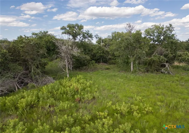 5th image of Tbd Fm-1241, Purmela, TX 76566 | MLS# 550335