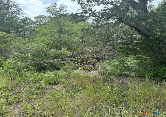 2nd image of 0 0 Tbd Lot 102 Ripple Brook And Lot 100 Moon Mist, Bastrop, TX 78602 | MLS# 550730