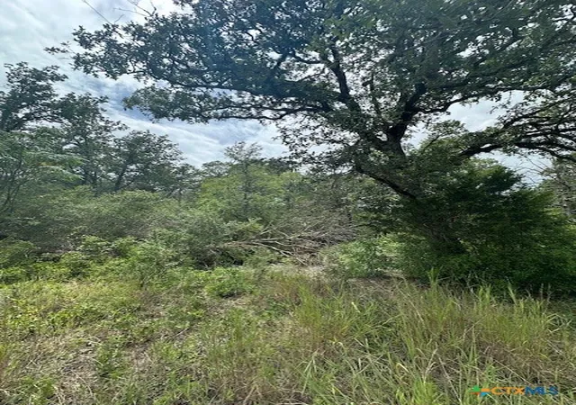 Photo 3 of Land for sale at 0 0 Tbd Lot 102 Ripple Brook And Lot 100 Moon Mist, Bastrop, TX 78602 | MLS# 550730 | Listing updated on 2026-06-15
