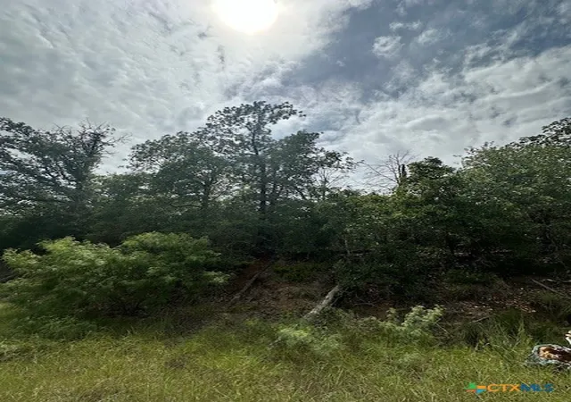 Photo 2 of Land for sale at 0 Tbd Lot 104 Ripple Brook Dr, Bastrop, TX 78602 | MLS# 550733 | Listing updated on 2026-06-15