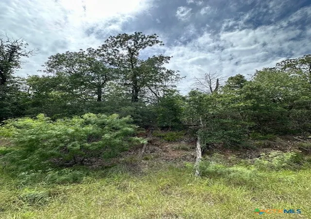 Photo 3 of Land for sale at 0 Tbd Lot 104 Ripple Brook Dr, Bastrop, TX 78602 | MLS# 550733 | Listing updated on 2026-06-15