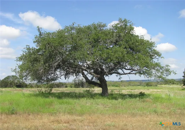 Photo 3 of Land for sale at Lot 12 Ph 4 Pr 4212, Evant, TX 76525 | MLS# 551354 | Listing updated on 2026-01-08
