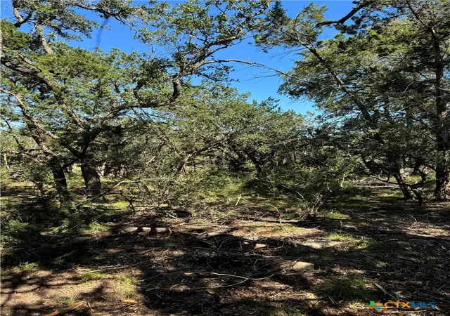 Photo 3 of Land for sale at 2869 Western Skies Dr, Spring Branch, TX 78070 | MLS# 551444 | Listing updated on 2026-07-31