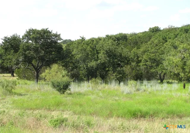 Photo 2 of Land for sale at Lot 9 Ph 4 Pr 4212, Evant, TX 76525 | MLS# 551355 | Listing updated on 2026-01-08