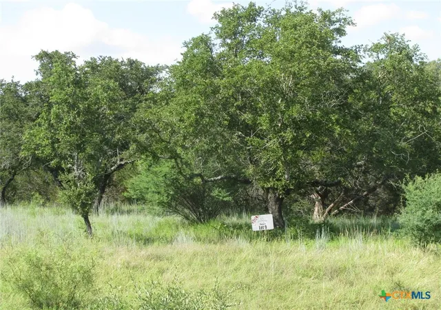 Photo 3 of Land for sale at Lot 9 Ph 4 Pr 4212, Evant, TX 76525 | MLS# 551355 | Listing updated on 2026-01-08