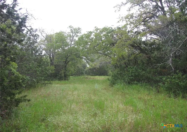 Photo 4 of Land for sale at Tbd Pr 1002, Purmela, TX 76566 | MLS# 552665 | Listing updated on 2026-09-22