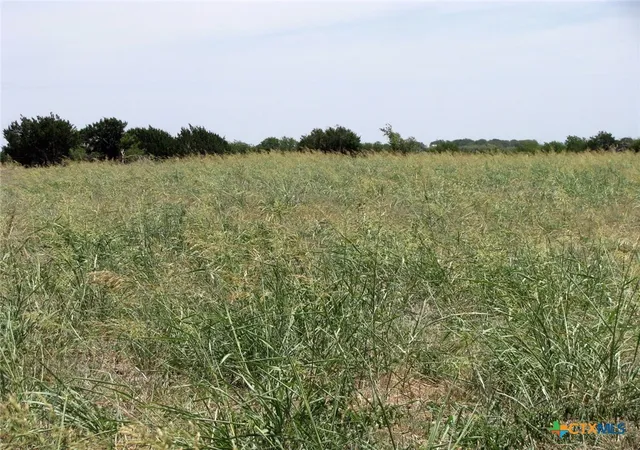 Photo 3 of Land for sale at Tbd County Road 404, Hamilton, TX 76531 | MLS# 552699 | Listing updated on 2026-09-22