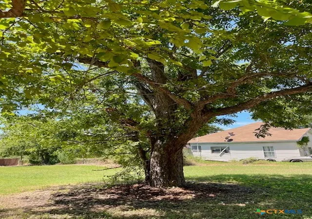 5th image of 505 E 4Th St, Cameron, TX 76520 | MLS# 554128