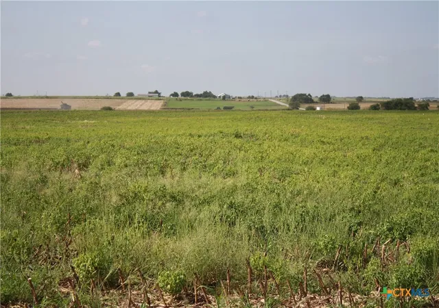 9th image of Tbd Gooseneck Rd #1, Bartlett, TX 76511 | MLS# 553680
