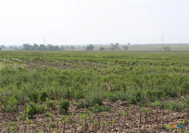 4th image of Tbd Gooseneck Rd #3, Bartlett, TX 76511 | MLS# 553684