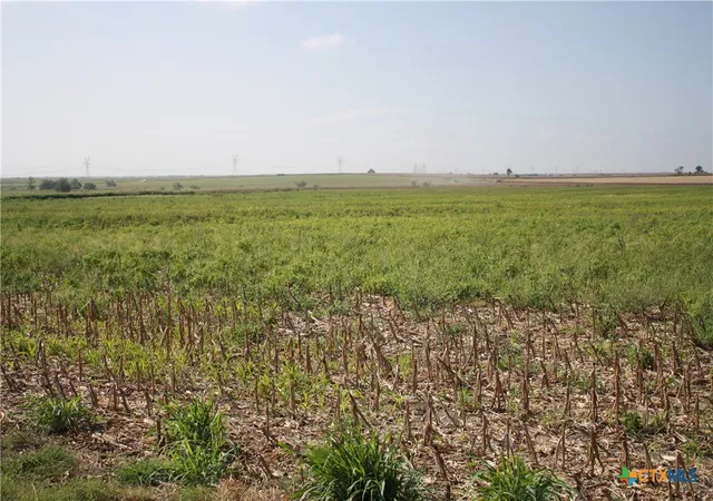 5th image of Tbd Gooseneck Rd #3, Bartlett, TX 76511 | MLS# 553684