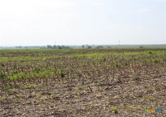 4th image of Tbd Gooseneck Rd #4, Bartlett, TX 76511 | MLS# 553686