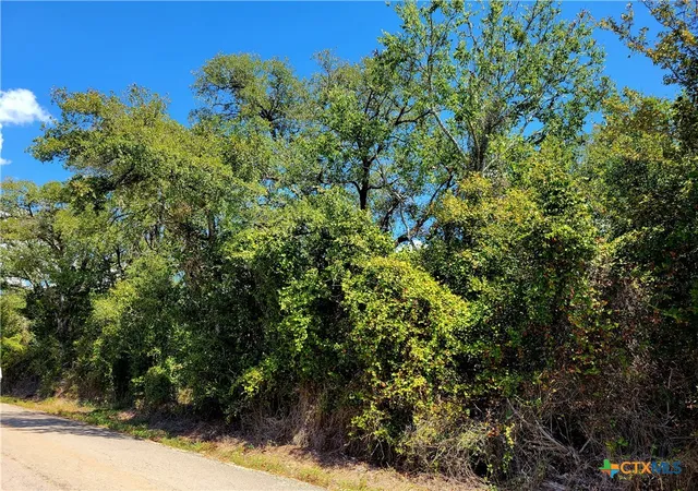 10th image of Tbd Dale Ln, Dale, TX 78616 | MLS# 555509