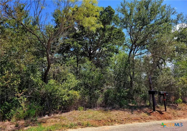 1st image of Tbd Dale Ln, Dale, TX 78616 | MLS# 555509