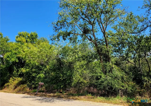 1st image of Tbd Dale Ln, Dale, TX 78616 | MLS# 555508